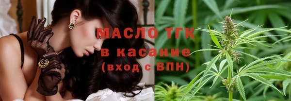 прущие грибы Аркадак