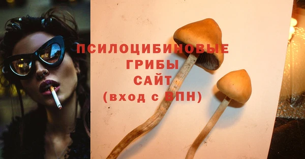 ешки Карпинск