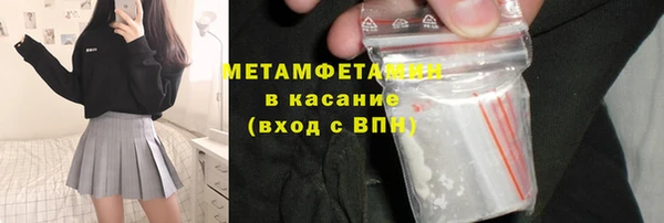 прущие грибы Аркадак