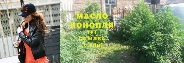 хмурый Арсеньев
