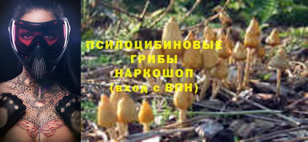прущие грибы Алексеевка