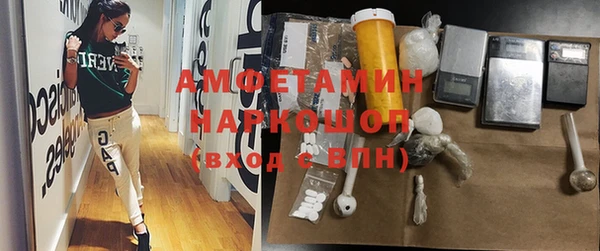 хмурый Арсеньев